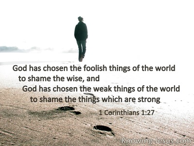 God has chosen the weak things of the worldto put to shame the things which are mighty.